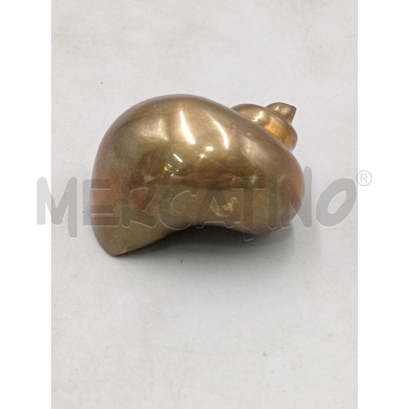 CONCHIGLIA OTTONE H. 4 | Mercatino dell'Usato Moncalieri bengasi 2