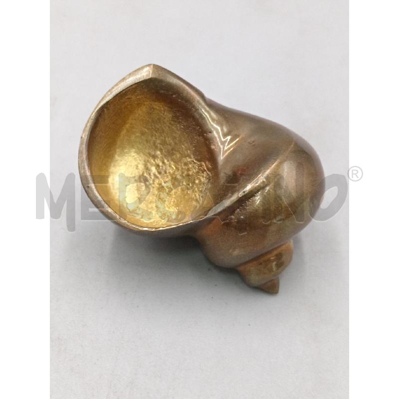 CONCHIGLIA OTTONE H. 4 | Mercatino dell'Usato Moncalieri bengasi 3