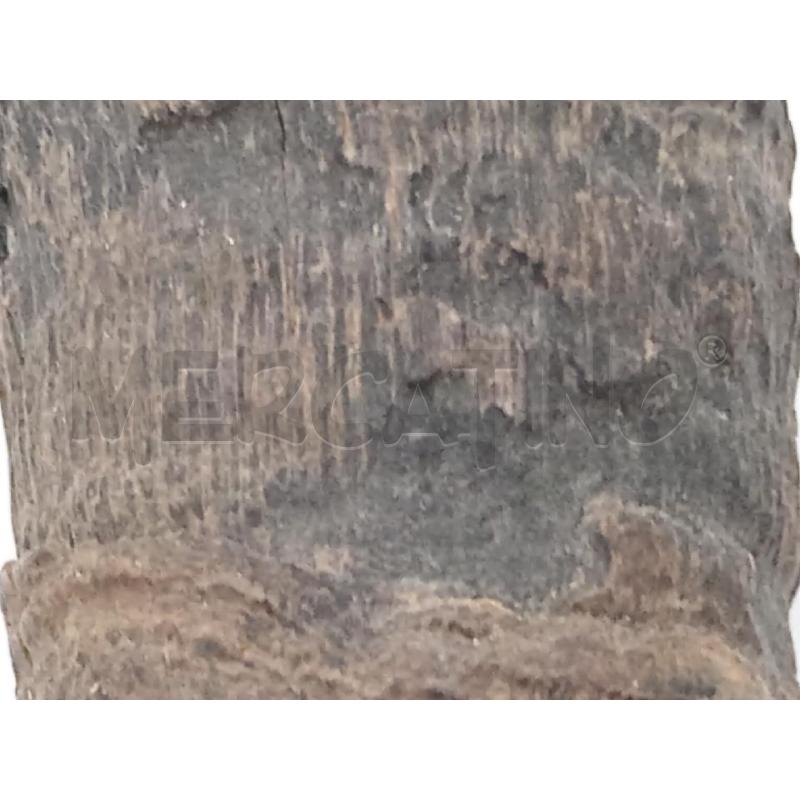 CORNO VECCHIO  | Mercatino dell'Usato Moncalieri bengasi 3
