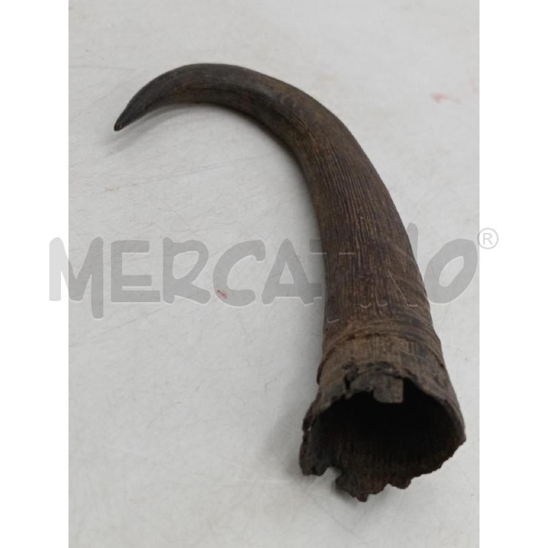 CORNO VECCHIO  | Mercatino dell'Usato Moncalieri bengasi 5