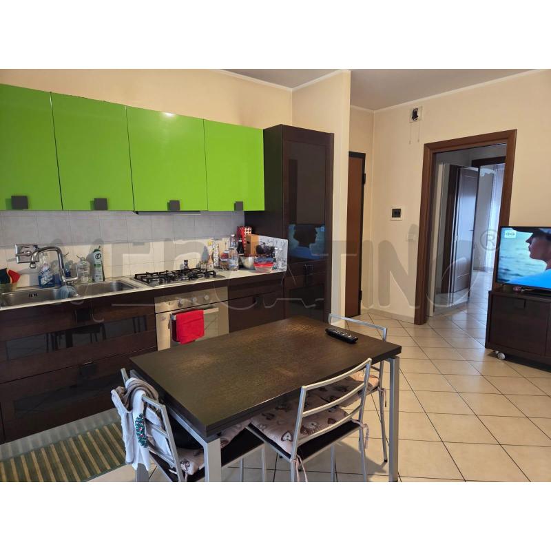 CUCINA COMPLETA LINEARE BASE WENGE PENSILI VERDE LUCIDI  | Mercatino dell'Usato Moncalieri bengasi 2