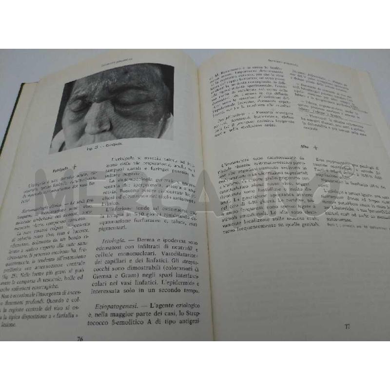 DERMATOLOGIA VENEREOLOGIA MINERVA MEDICA 1976 | Mercatino dell'Usato Moncalieri bengasi 3