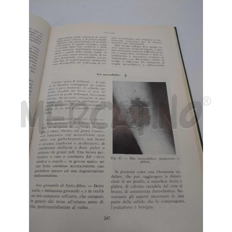 DERMATOLOGIA VENEREOLOGIA MINERVA MEDICA 1976 | Mercatino dell'Usato Moncalieri bengasi 4