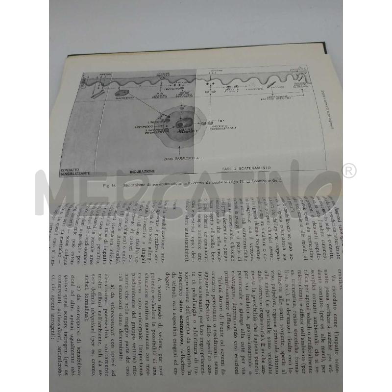 DERMATOLOGIA VENEREOLOGIA MINERVA MEDICA 1976 | Mercatino dell'Usato Moncalieri bengasi 5