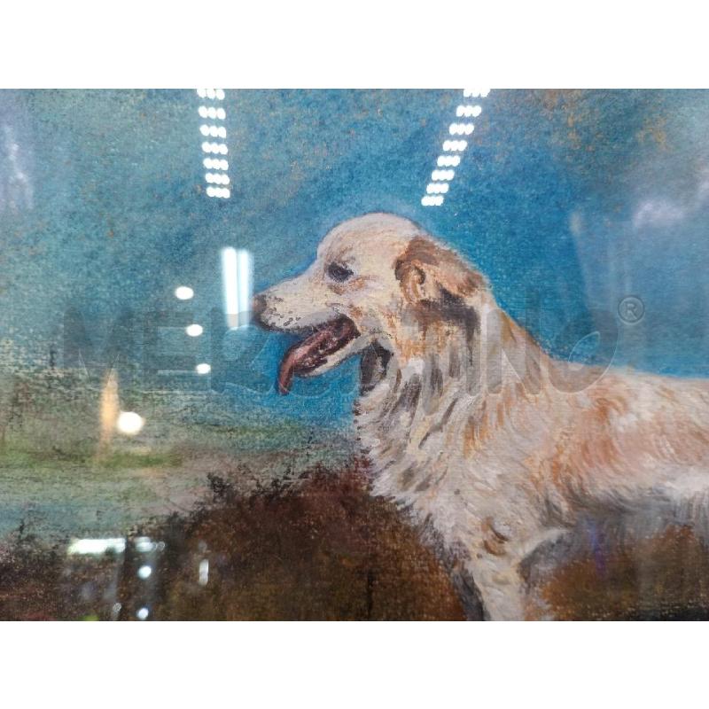 DIPINTO OLIO S/TELA ARTISTA GLORIA GIANNETTO BERTINETTI  | Mercatino dell'Usato Moncalieri bengasi 3