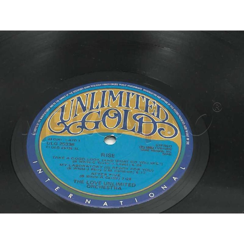 DISCO 33 GIRI THE LOVE UNLIMITED ORCHESTRA RISE VG | Mercatino dell'Usato Moncalieri bengasi 4