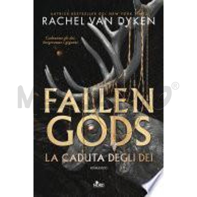 FALLEN GODS | Mercatino dell'Usato Moncalieri bengasi 1