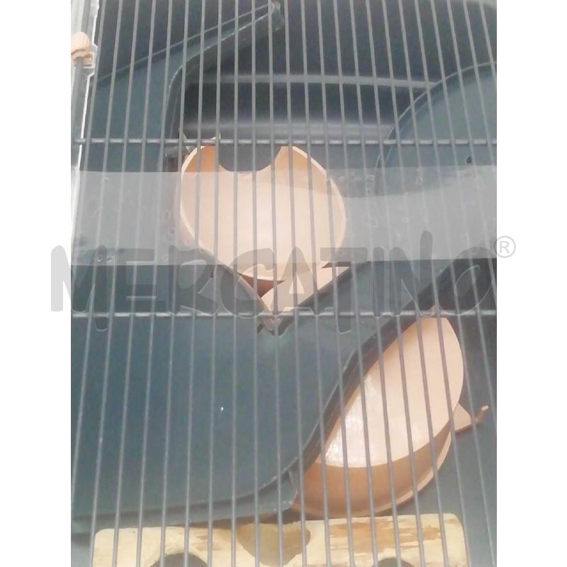 GABBIETTA PER CRICIETI EHOP | Mercatino dell'Usato Moncalieri bengasi 4