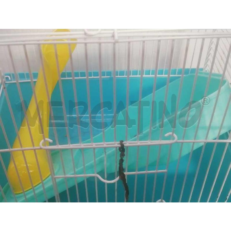 GABBIETTA PICCOLA BASE AZZURRA  | Mercatino dell'Usato Moncalieri bengasi 4