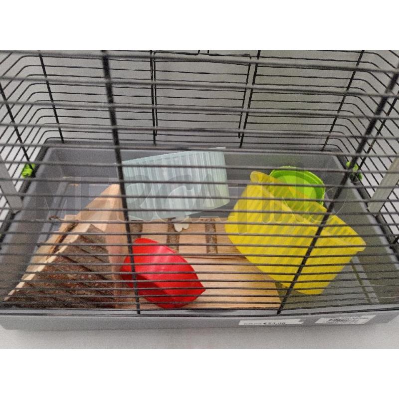 GABBIETTA RODITORI ACCESSORIATA | Mercatino dell'Usato Moncalieri bengasi 2
