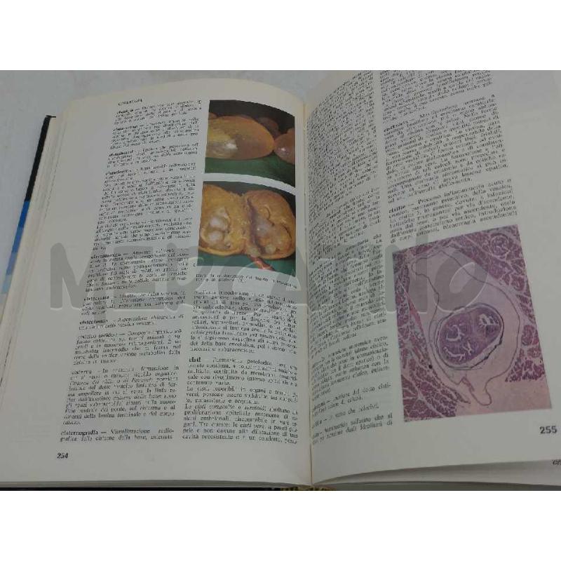 GRANDE DIZIONARIO MEDICO ILLUSTRATO DE AGOSTINI 1986 | Mercatino dell'Usato Moncalieri bengasi 3