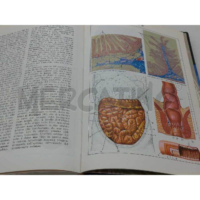 GRANDE DIZIONARIO MEDICO ILLUSTRATO DE AGOSTINI 1986 | Mercatino dell'Usato Moncalieri bengasi 5