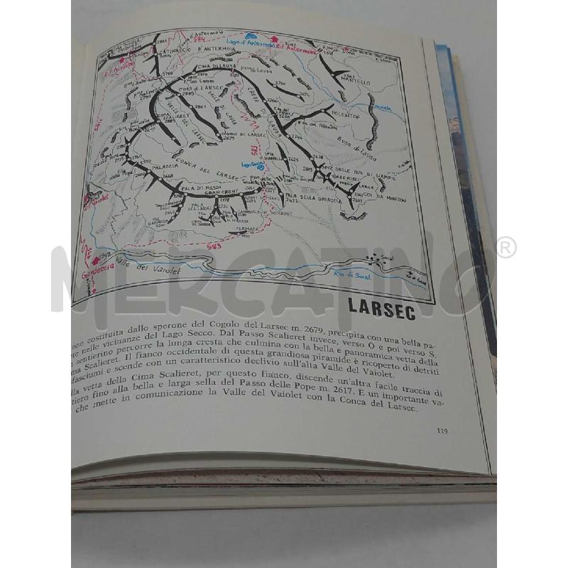 GRUPPO DEL CATINACCIO LUCA VISENTINI EDIZIONI ATHESIA 1979 | Mercatino dell'Usato Moncalieri bengasi 4