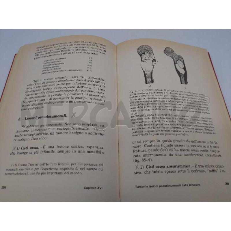 LEZIONI DI CLINICA ORTOPEDICA PATRON EDITORE BOLOGNA 1975 | Mercatino dell'Usato Moncalieri bengasi 4