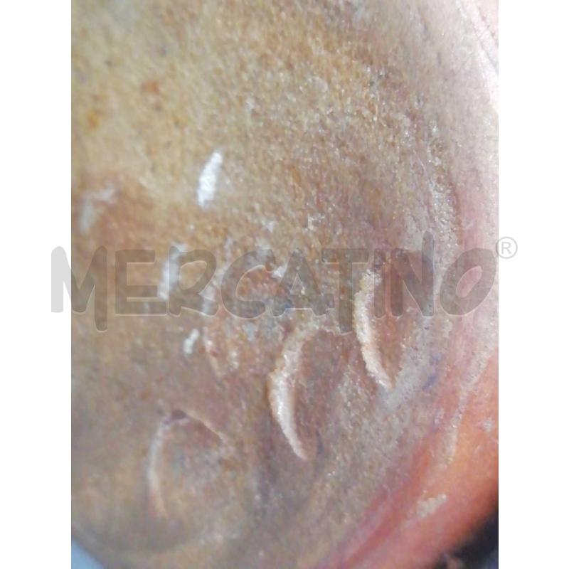 MARTELLO GIGANTE LEGNO B | Mercatino dell'Usato Moncalieri bengasi 5