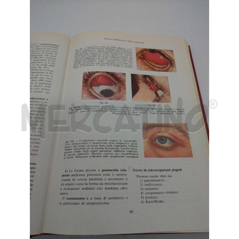 OFTALMOLOGIA MINERVA MEDICA 1974 | Mercatino dell'Usato Moncalieri bengasi 3