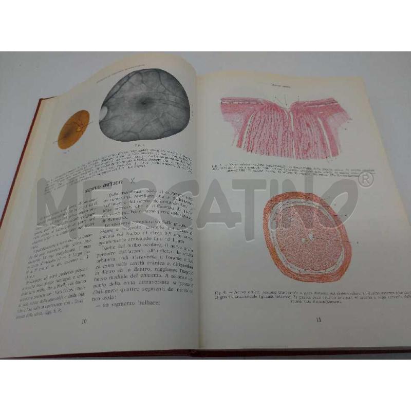 OFTALMOLOGIA MINERVA MEDICA 1974 | Mercatino dell'Usato Moncalieri bengasi 5