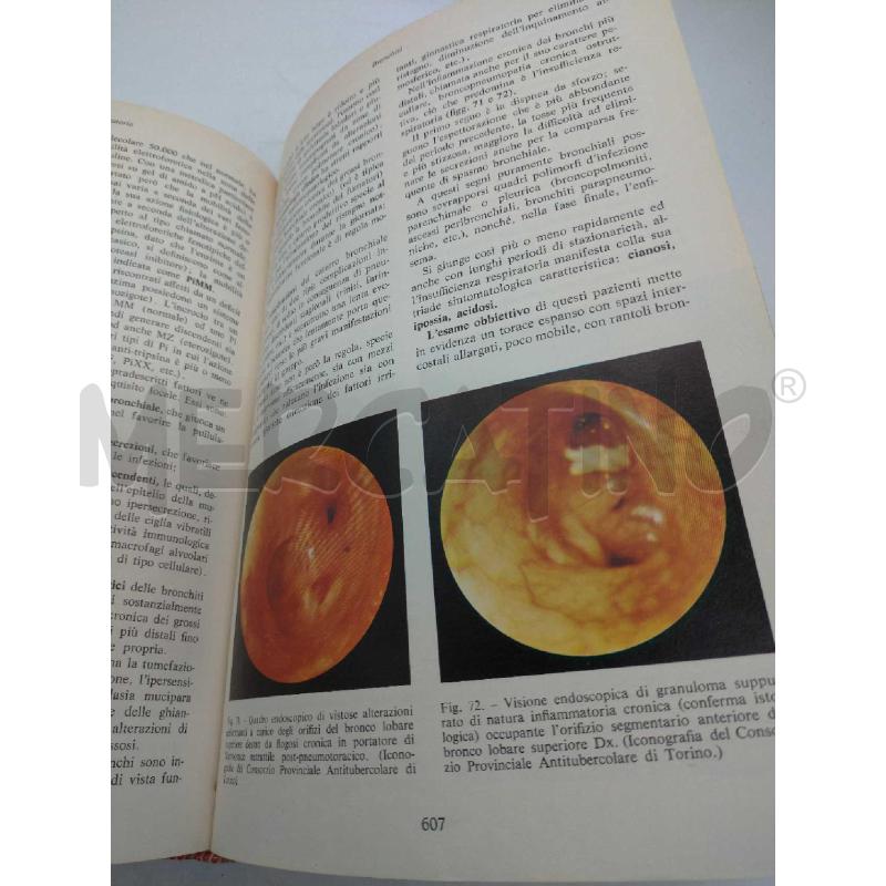 PATOLOGIA MEDICA 2 VOL. MINERVA MEDICA 1975 | Mercatino dell'Usato Moncalieri bengasi 4