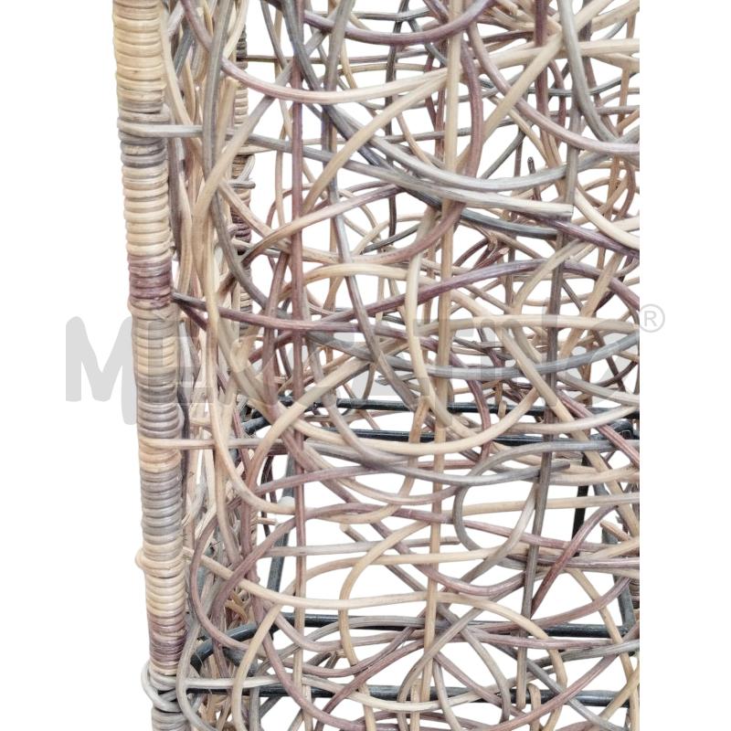 PIANTANA BAMBU  | Mercatino dell'Usato Moncalieri bengasi 5