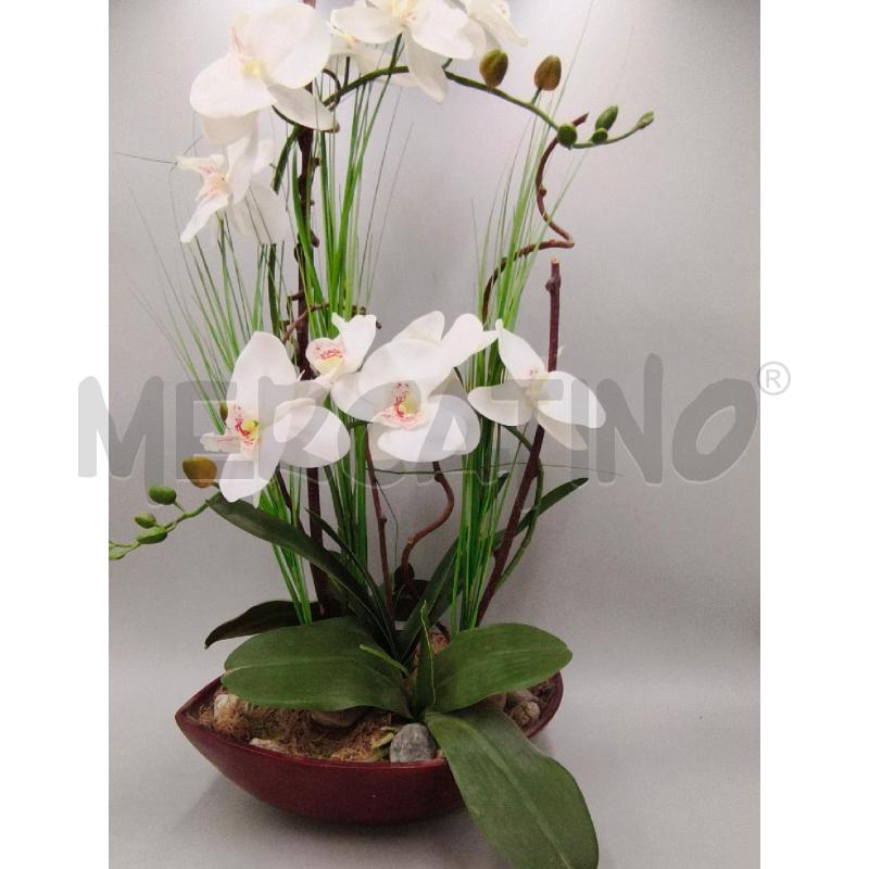 PIANTA DECORATIVA ORCHIDEA  | Mercatino dell'Usato Moncalieri bengasi 1