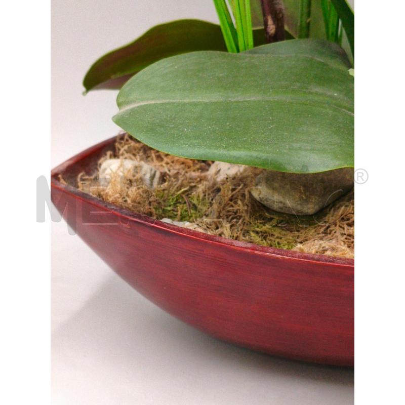 PIANTA DECORATIVA ORCHIDEA  | Mercatino dell'Usato Moncalieri bengasi 2