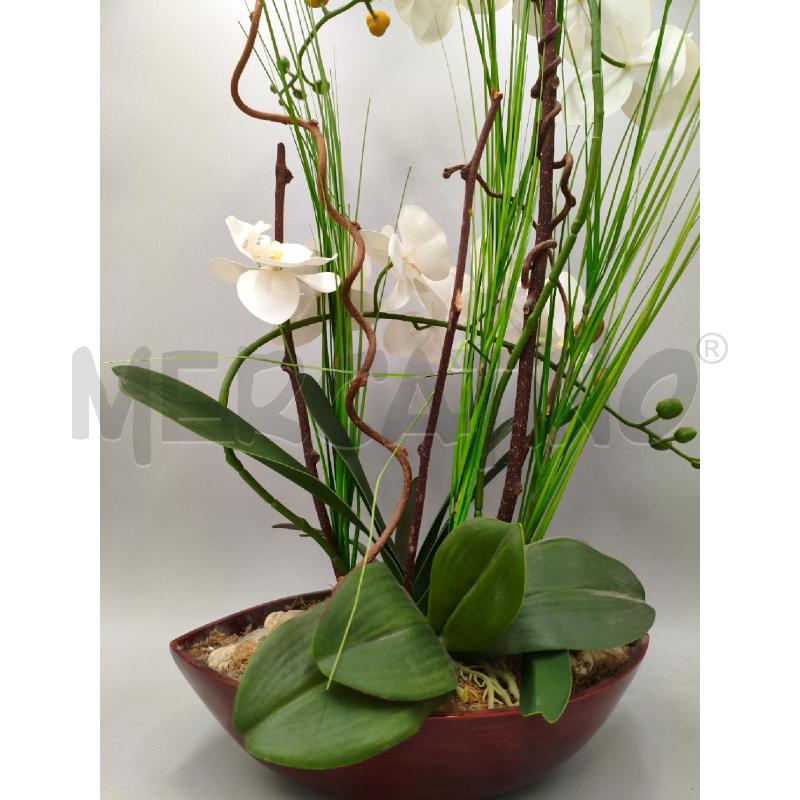 PIANTA DECORATIVA ORCHIDEA  | Mercatino dell'Usato Moncalieri bengasi 3
