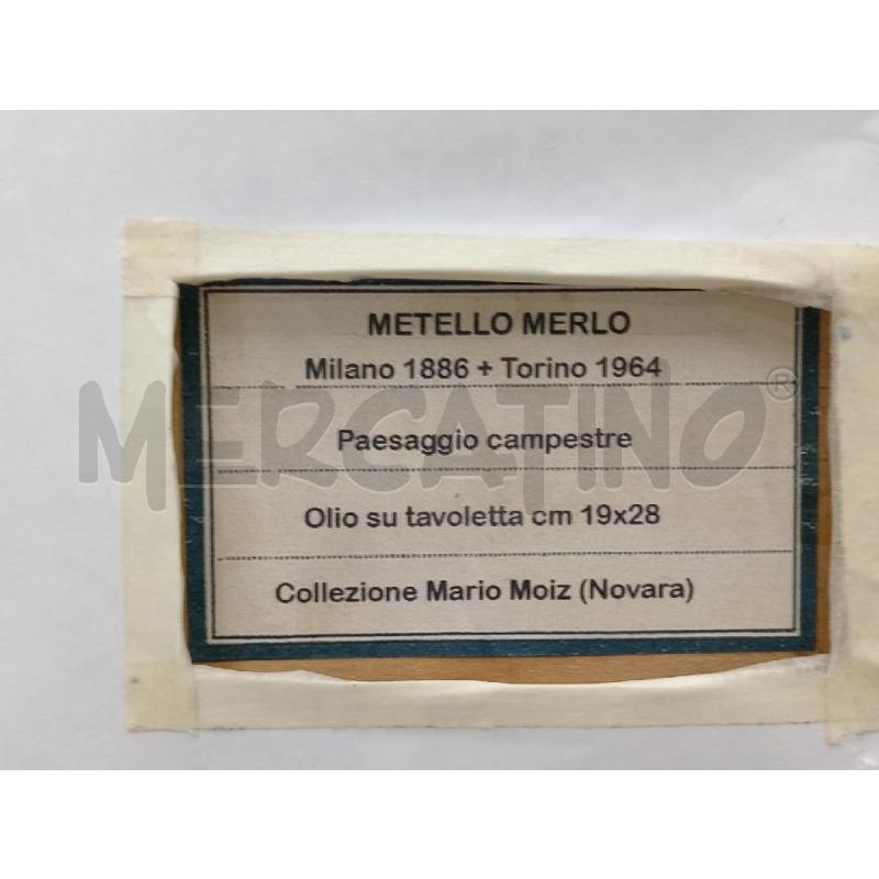 QUADRETTO OLIO SU TAVOLA METELLO MERLO | Mercatino dell'Usato Moncalieri bengasi 5