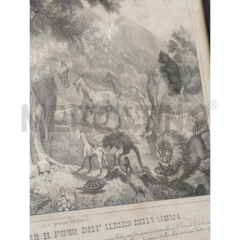 QUADRO ADAMO ED EVA 33 X 50 | Mercatino dell'Usato Moncalieri bengasi 4