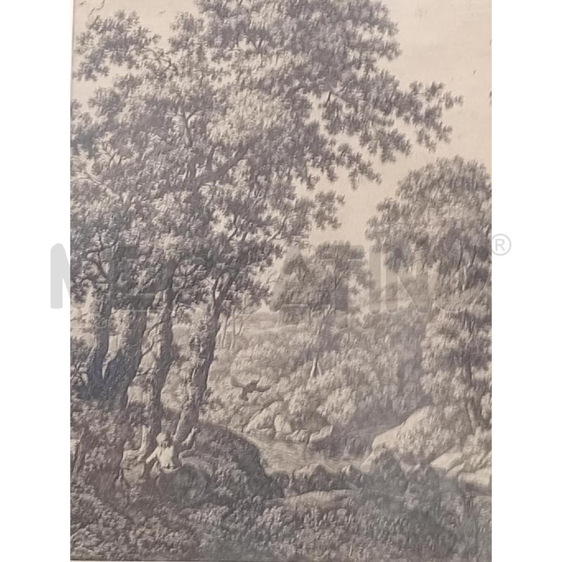 QUADRO LITOGRAFIA PAESSAGGIO CON ALBERI | Mercatino dell'Usato Moncalieri bengasi 2