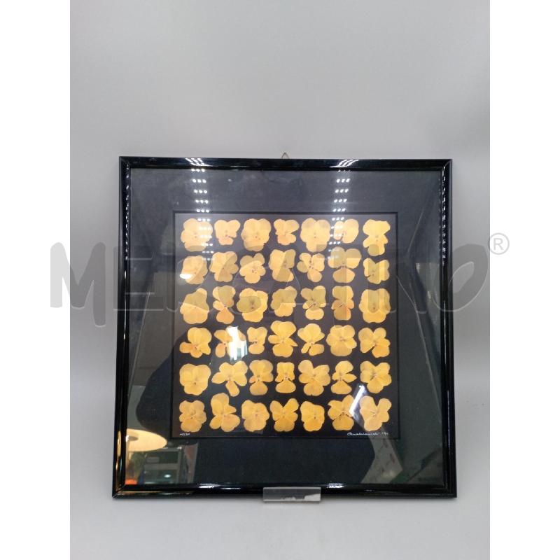 QUADRO PETALI CAVALLERETTI? NUMERATA 10/30 | Mercatino dell'Usato Moncalieri bengasi 1
