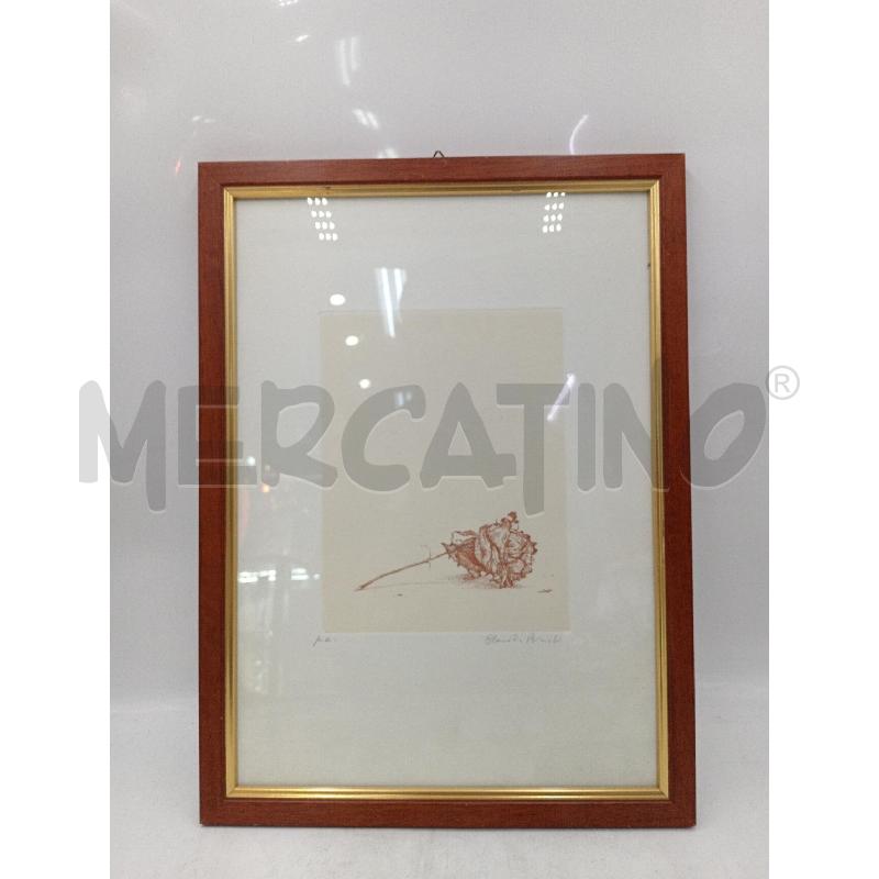 QUADRO PROVA DAUTORE BONICHI CLAUDIO ROSA SDRAIATA | Mercatino dell'Usato Moncalieri bengasi 1