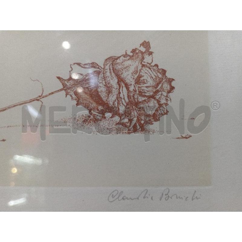 QUADRO PROVA DAUTORE BONICHI CLAUDIO ROSA SDRAIATA | Mercatino dell'Usato Moncalieri bengasi 2