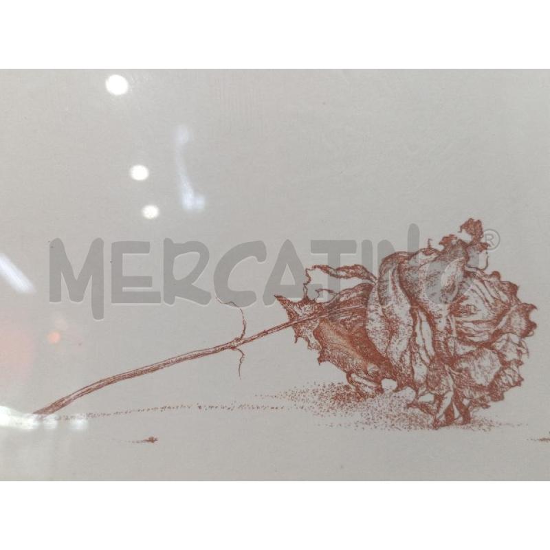 QUADRO PROVA DAUTORE BONICHI CLAUDIO ROSA SDRAIATA | Mercatino dell'Usato Moncalieri bengasi 4