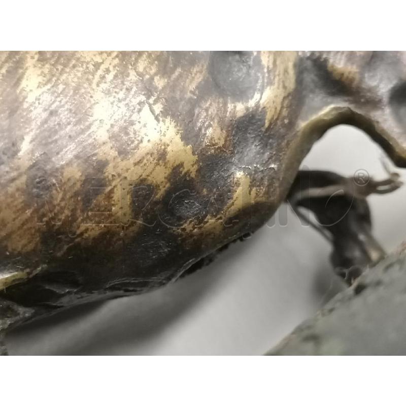 SCULTURA CANE CACCIA BRONZO 32 CM | Mercatino dell'Usato Moncalieri bengasi 5