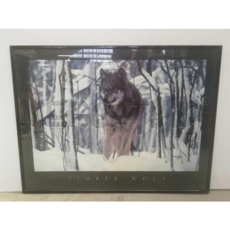 STAMPA ARREDAMENTO TIMBER WOLF CORNICE NERA  | Mercatino dell'Usato Moncalieri bengasi 1
