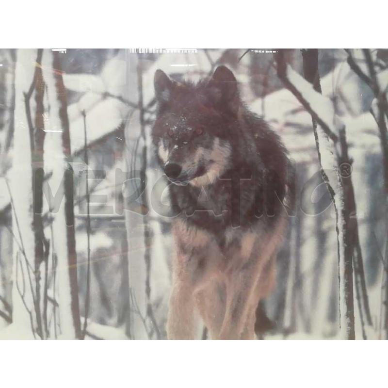 STAMPA ARREDAMENTO TIMBER WOLF CORNICE NERA  | Mercatino dell'Usato Moncalieri bengasi 2