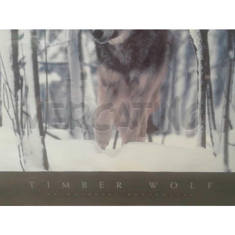STAMPA ARREDAMENTO TIMBER WOLF CORNICE NERA  | Mercatino dell'Usato Moncalieri bengasi 3