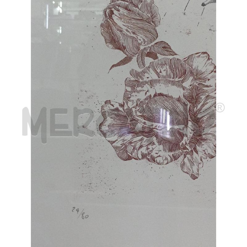 STAMPA GRAFICA CARLO PESCATORI OPERA UNA ROSA NELLO STUDIO | Mercatino dell'Usato Moncalieri bengasi 3