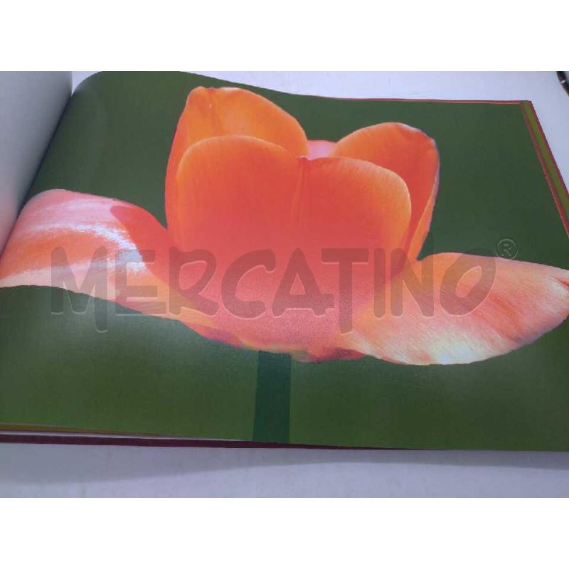TULIPANI RICCARDO RIETTI EDITORI DI COMUNICAZIONE 2007 | Mercatino dell'Usato Moncalieri bengasi 3