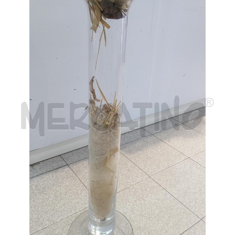 VASO GIGANTE VETRO H. 115 | Mercatino dell'Usato Moncalieri bengasi 3