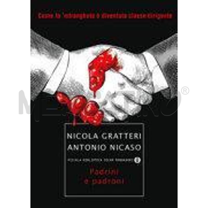PADRINI E PADRONI. COME LA 'NDRANGHETA È DIVENTATA | Mercatino dell'Usato Frossasco 1