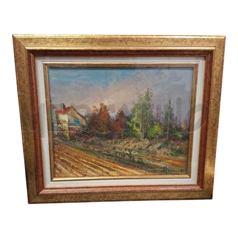 QUADRO 33X28 PAESAGGIO MORIENA N.28 | Mercatino dell'Usato Frossasco 1