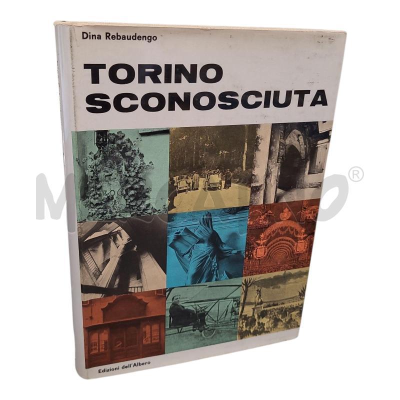 TORINO SCONOSCIUTA | Mercatino dell'Usato Frossasco 1