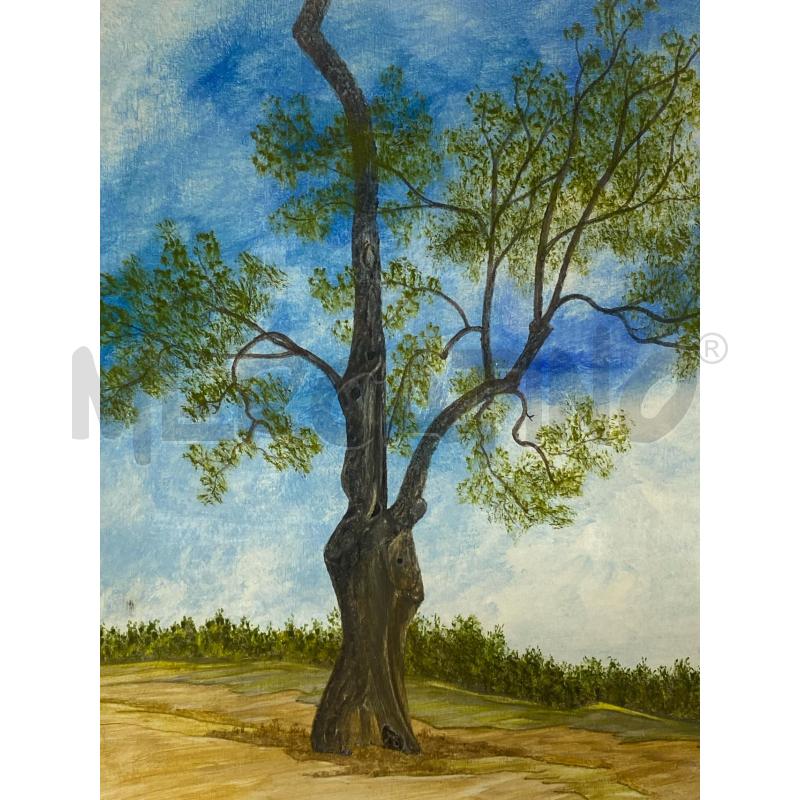 DIPINTO DIEGO GIORDANO PAESAGGIO CON ALBERO | Mercatino dell'Usato Torino c.so traiano 3