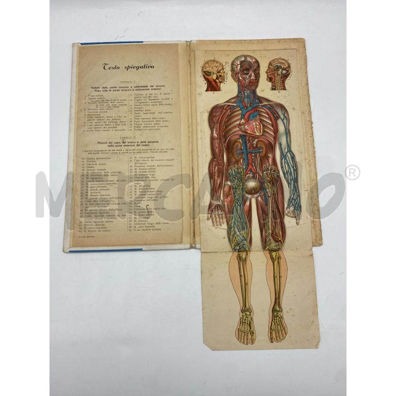 OPUSCOLO IL CORPO UMANO | Mercatino dell'Usato Torino c.so traiano 2