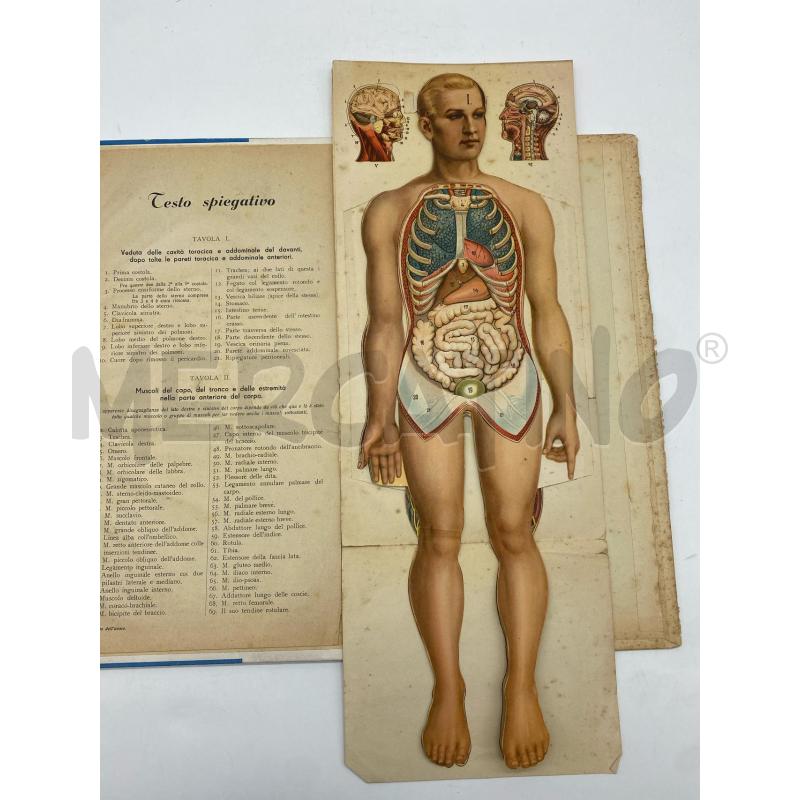 OPUSCOLO IL CORPO UMANO | Mercatino dell'Usato Torino c.so traiano 5
