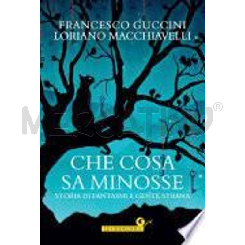 CHE COSA SA MINOSSE | Mercatino dell'Usato Torino tenivelli 1