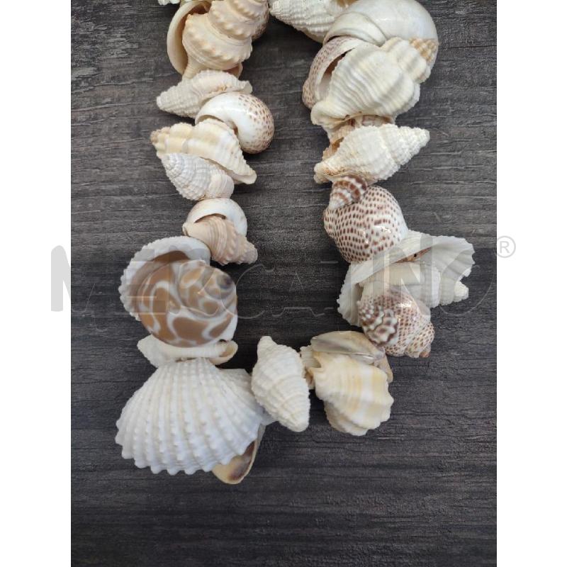 COLLANA MANOUK CONCHIGLIE CHIARE  | Mercatino dell'Usato Settimo torinese 2