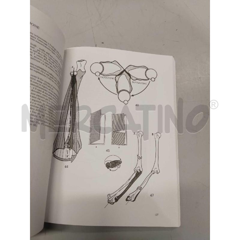 FISIOLOGIA ARTICOLARE L.A. KAPANDJI VOLUME 3 TRONCO E RACHIDE MONDUZZI EDITORE | Mercatino dell'Usato Settimo torinese 4