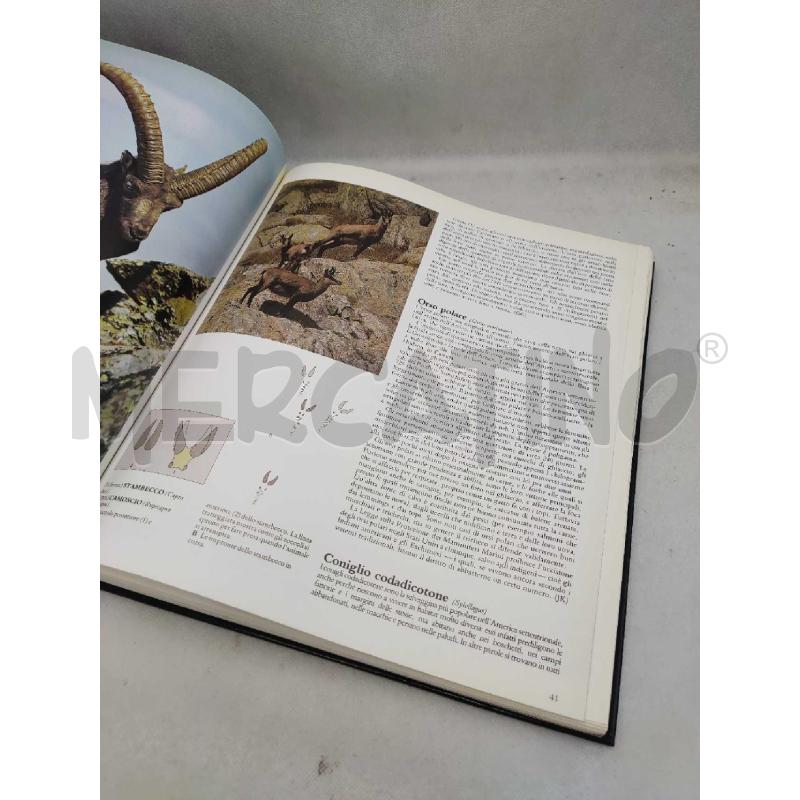 IL GRANDE LIBRO DELLA CACCIA-ROBERT ELMAN-IDEALIBRI | Mercatino dell'Usato Settimo torinese 4